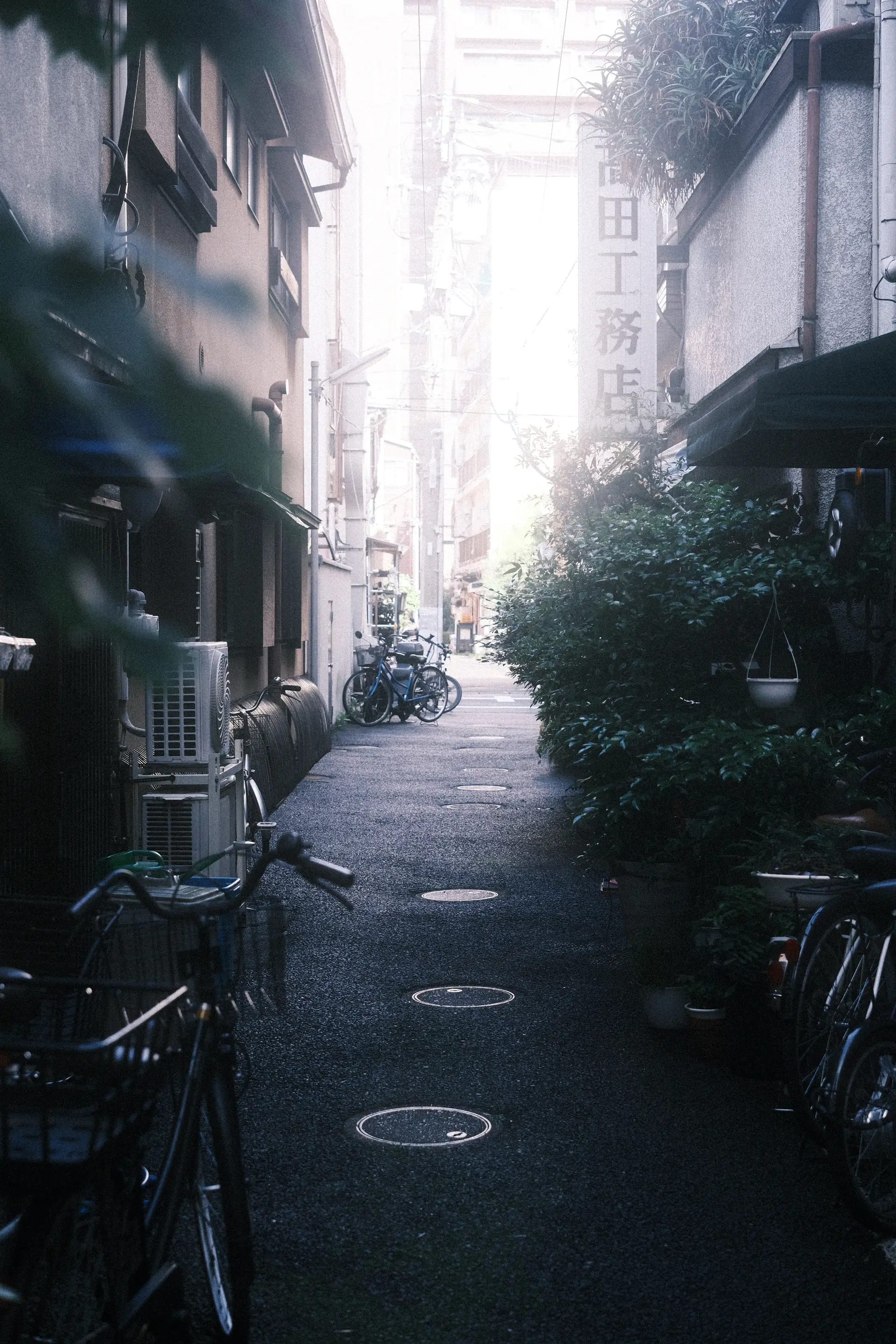Japan Trip